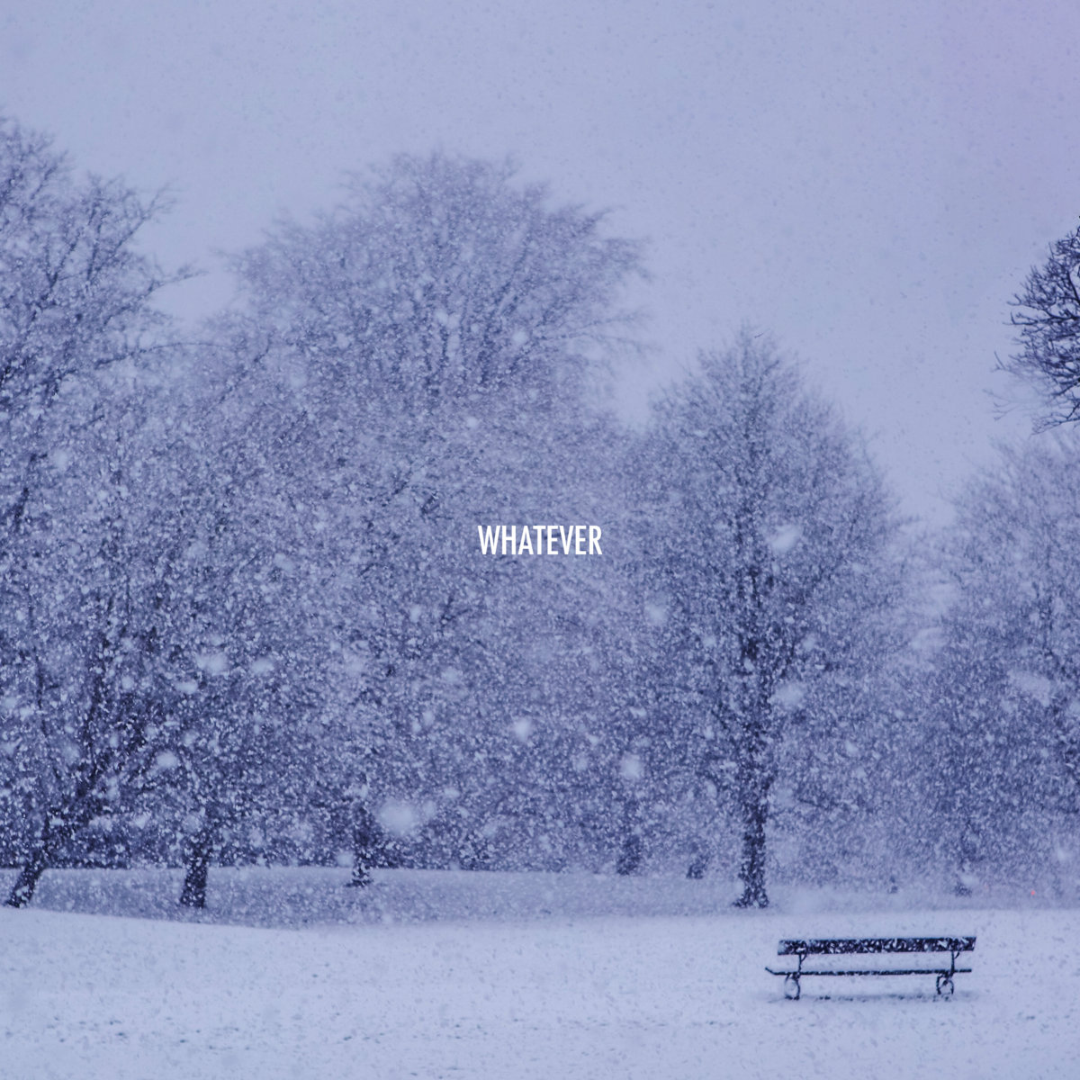 Whatever #2 cover artwork